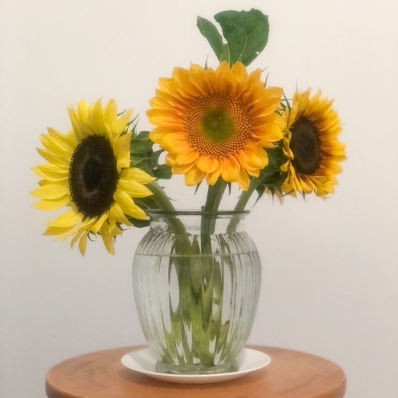 Set of 2 Clear and Tinted Ripple Vases - Picture 10 of 10